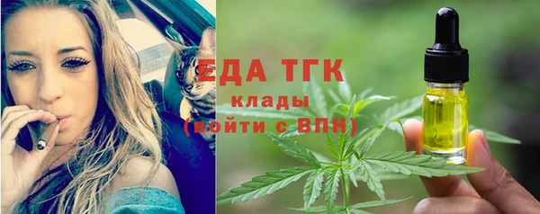 индика Арсеньев