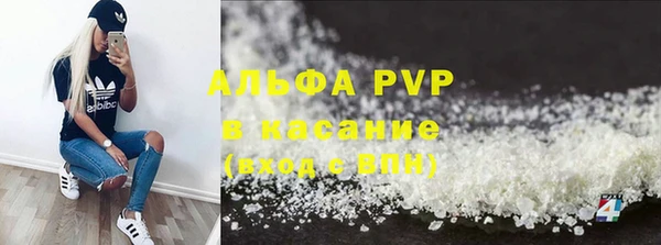 индика Арсеньев