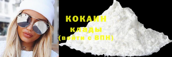 гашик Аркадак