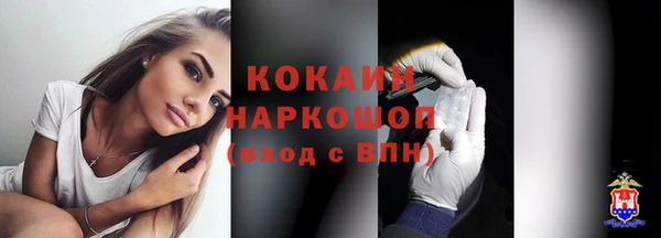 гашик Аркадак