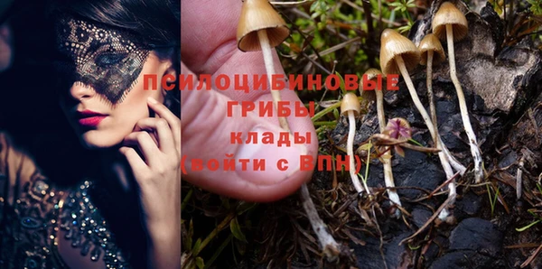 гашик Аркадак