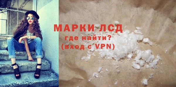 индика Арсеньев