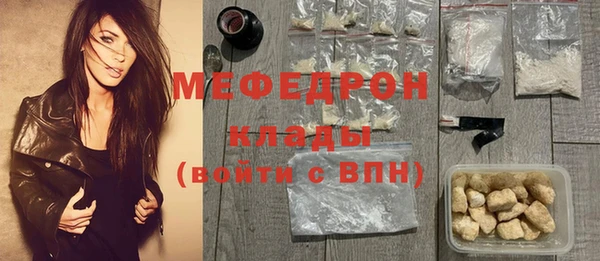 индика Арсеньев