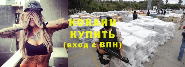 индика Арсеньев